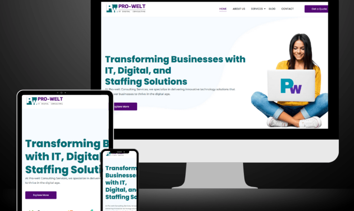 Pro Welt Custom Website Design